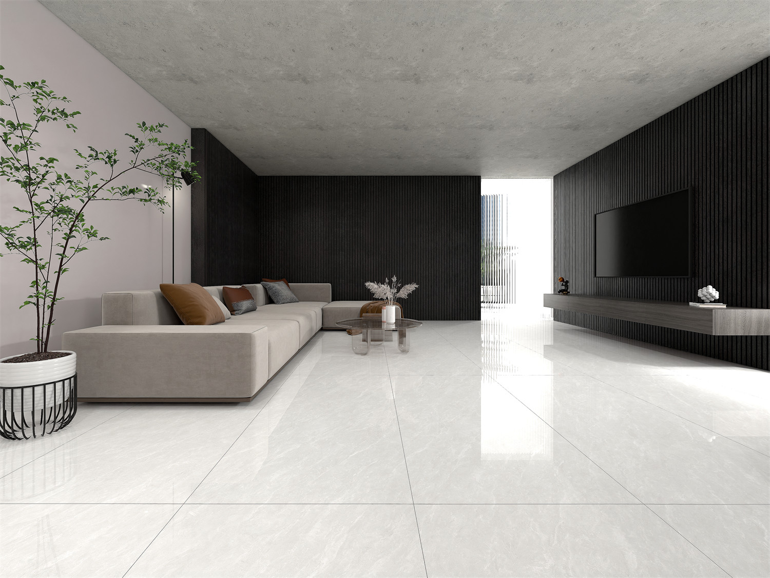 GMA156007.jpg GMA156007.jpg